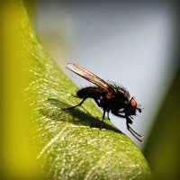 /album/sandomenicosavio/photolia-a04-jpg/