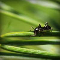 /album/sandomenicosavio/photolia-a05-jpg/